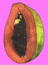 Papaya, 2009